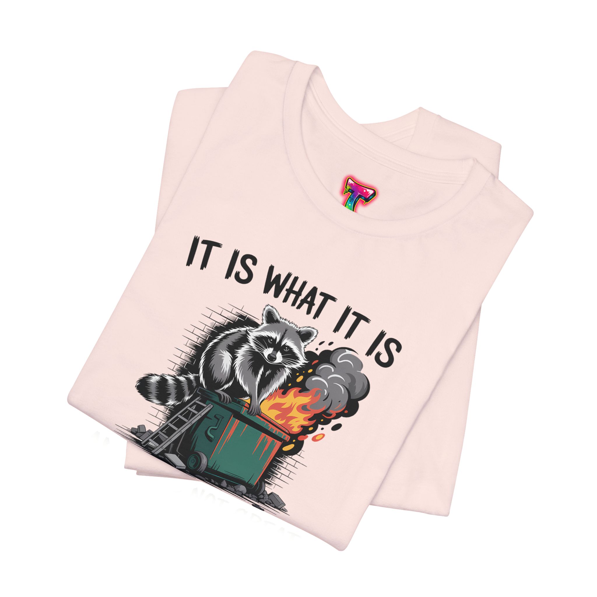 It Is What It Is Dumpster Fire T-Shirt - Ảnh 7