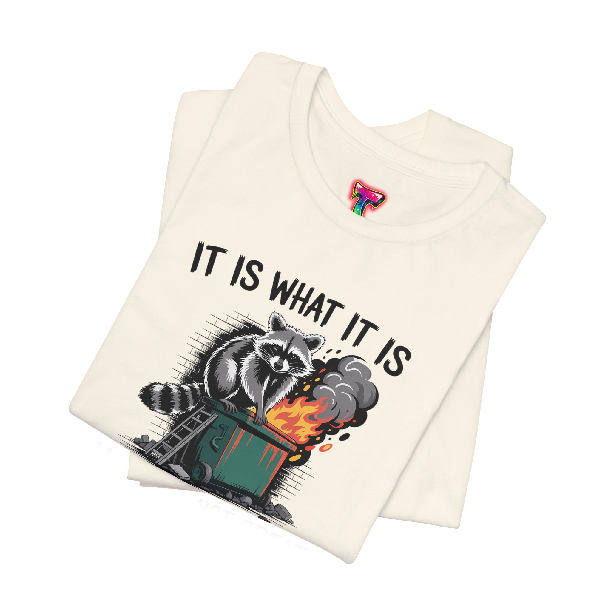 It Is What It Is Dumpster Fire T-Shirt - Ảnh 19