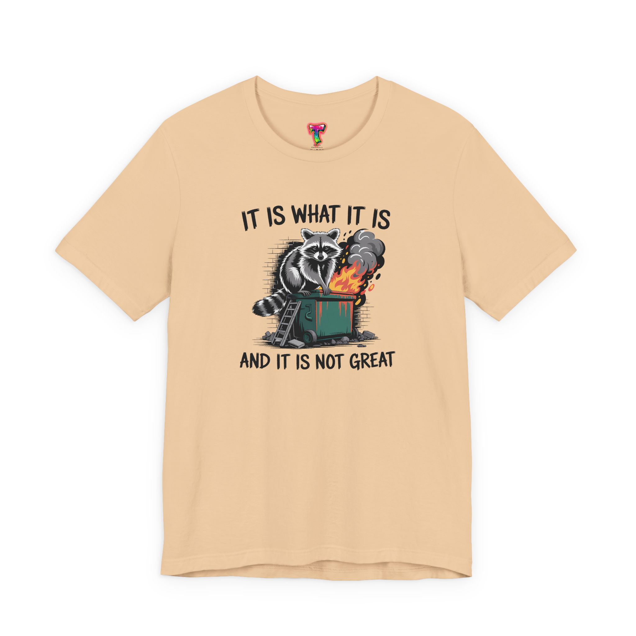 It Is What It Is Dumpster Fire T-Shirt - Ảnh 29