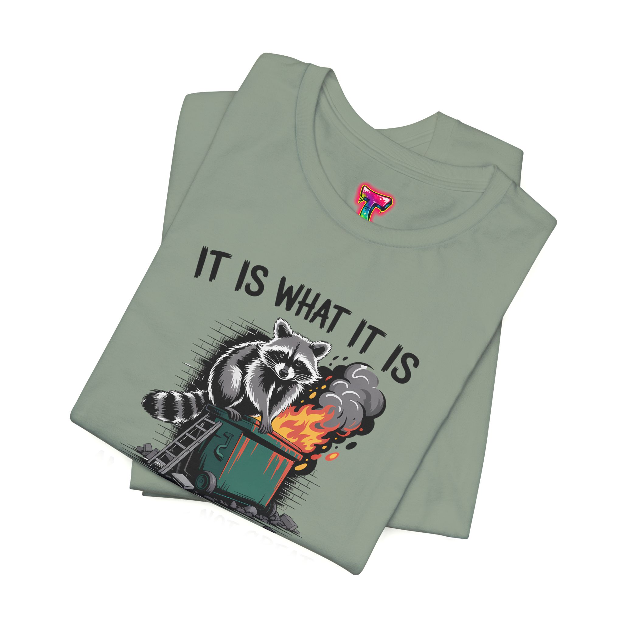 It Is What It Is Dumpster Fire T-Shirt - Ảnh 39