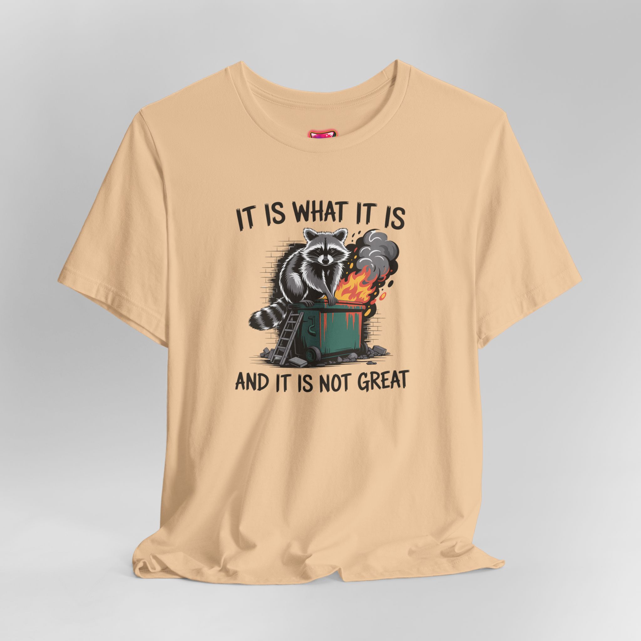 It Is What It Is Dumpster Fire T-Shirt - Ảnh 32