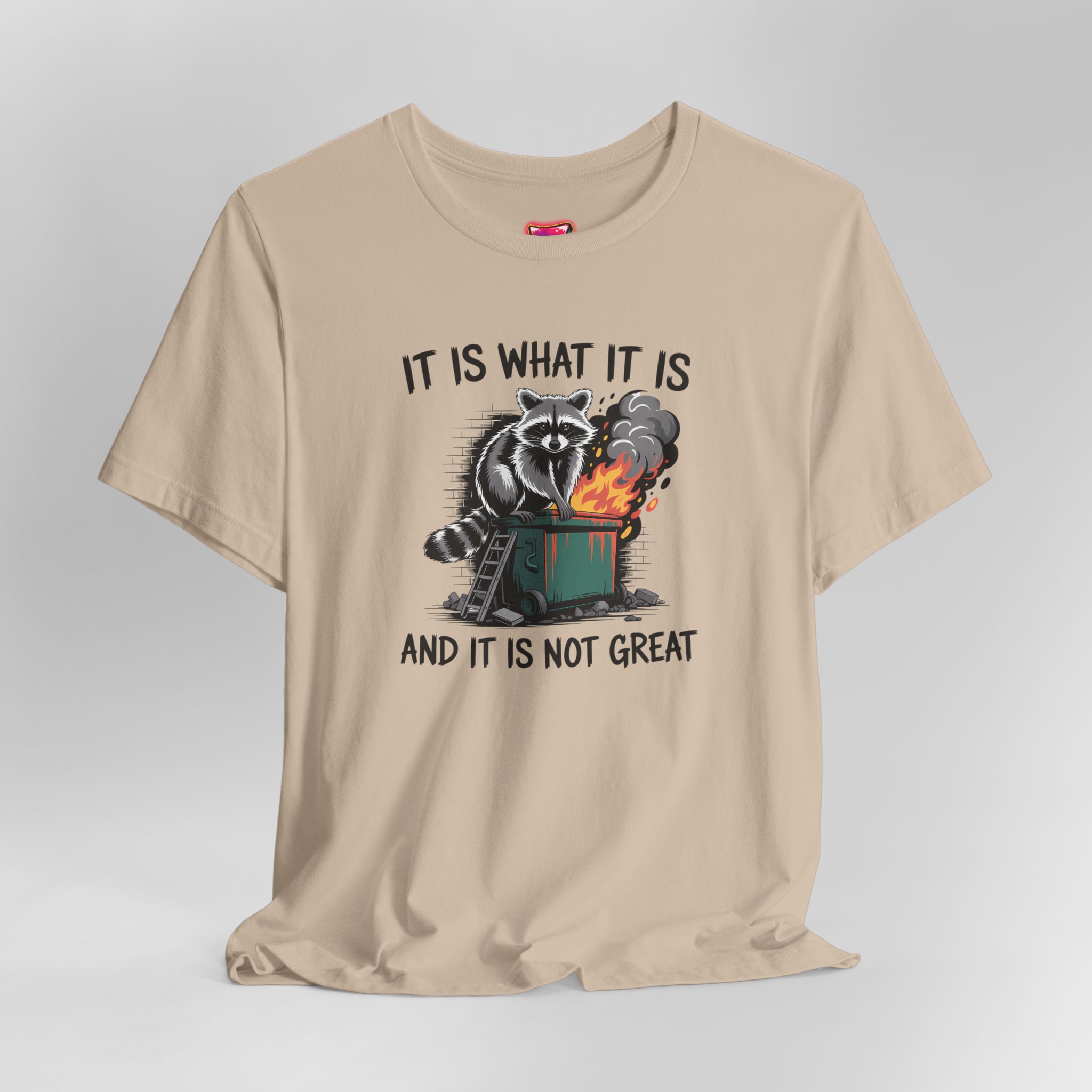 It Is What It Is Dumpster Fire T-Shirt - Ảnh 36