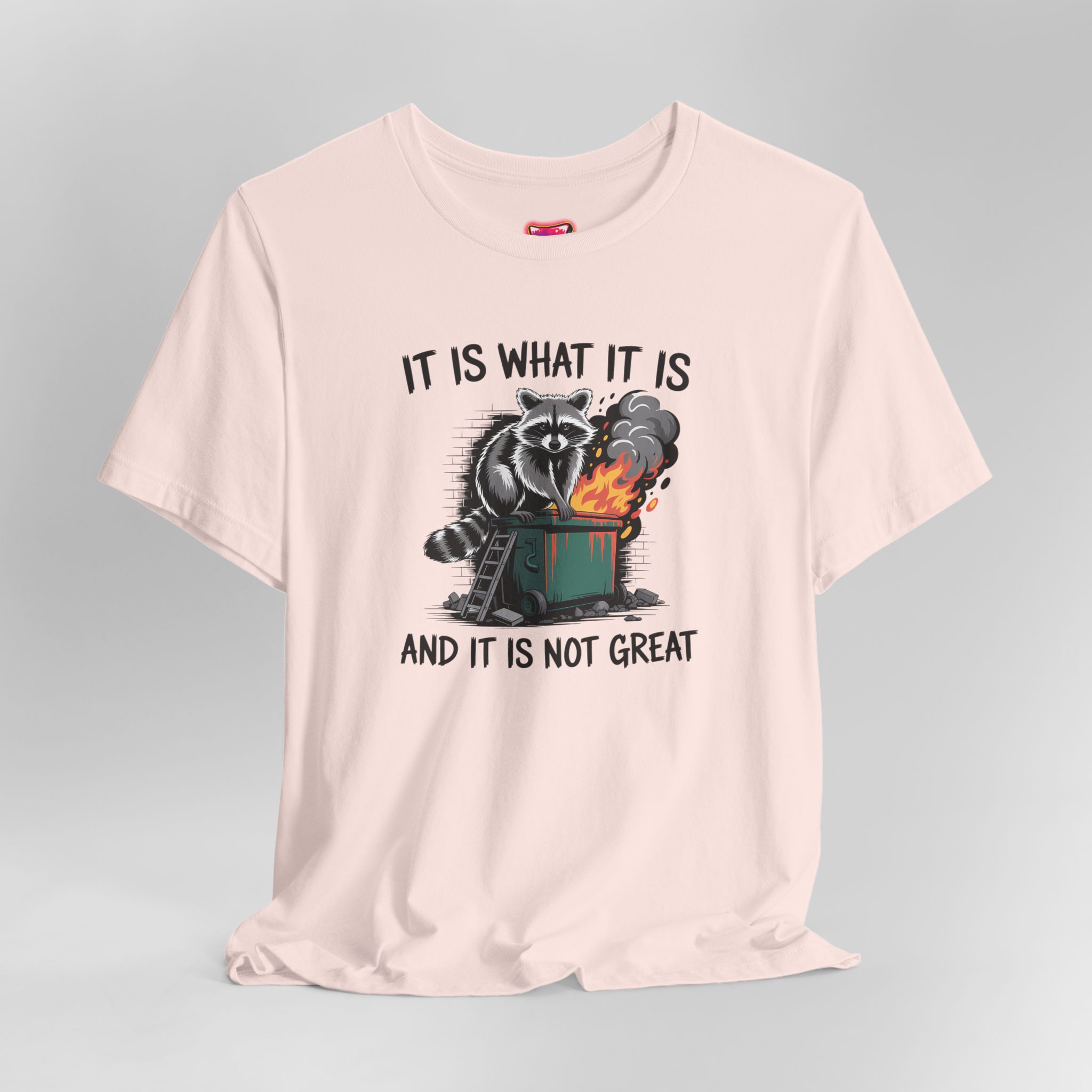 It Is What It Is Dumpster Fire T-Shirt - Ảnh 8