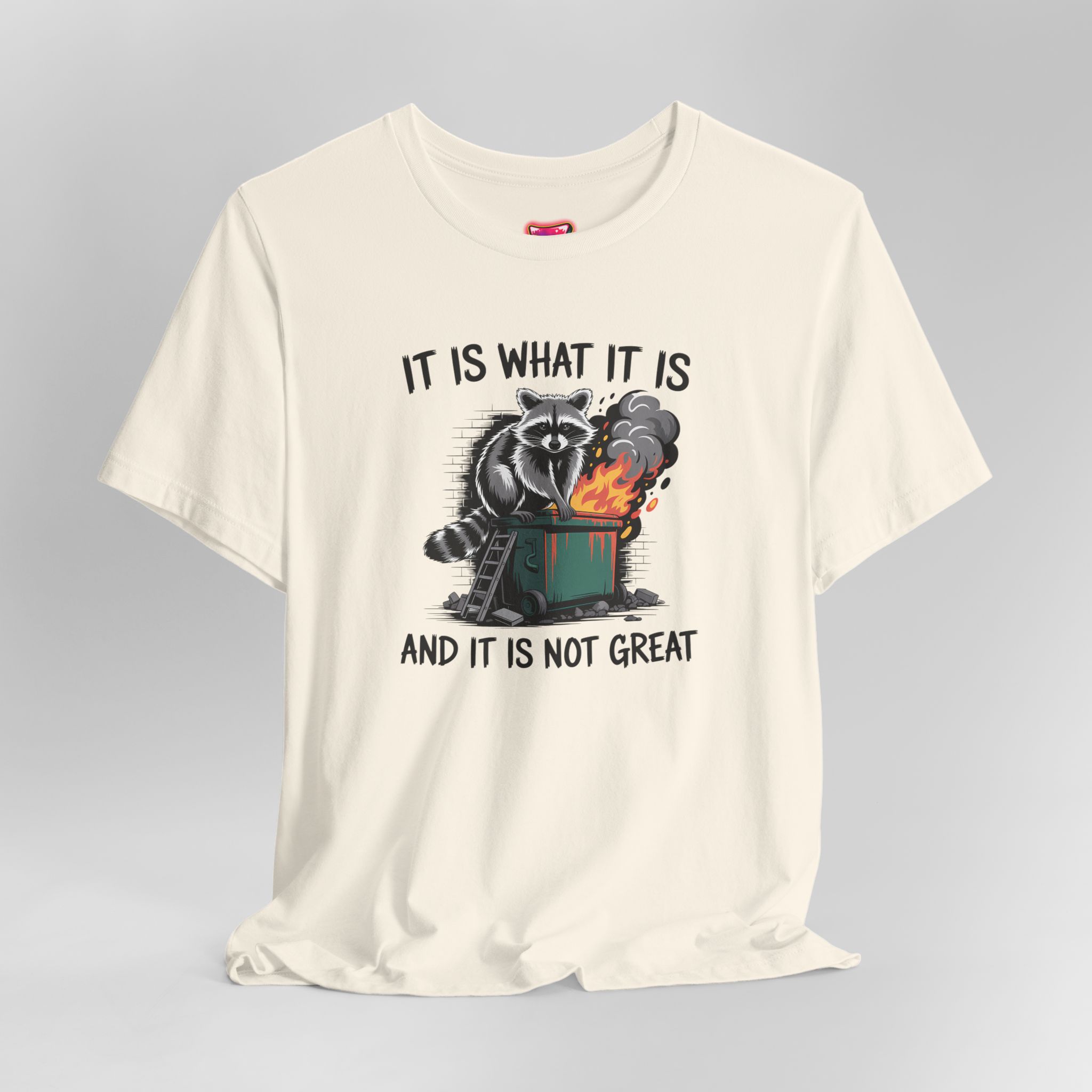 It Is What It Is Dumpster Fire T-Shirt - Ảnh 20
