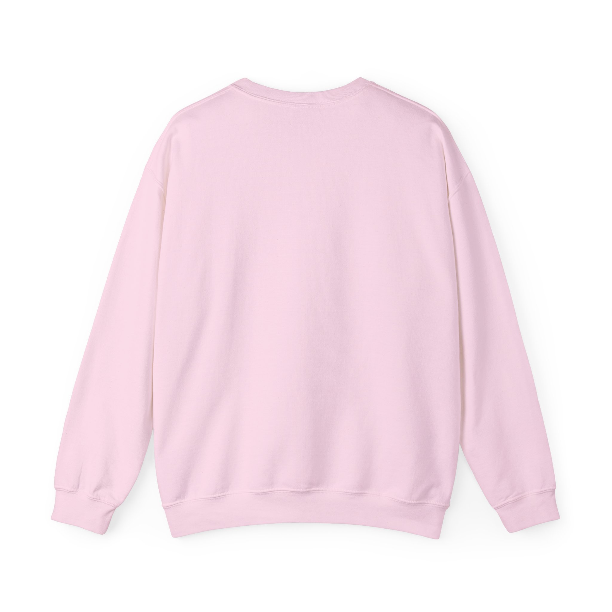 Crewneck Sweatshirt - Ảnh 50
